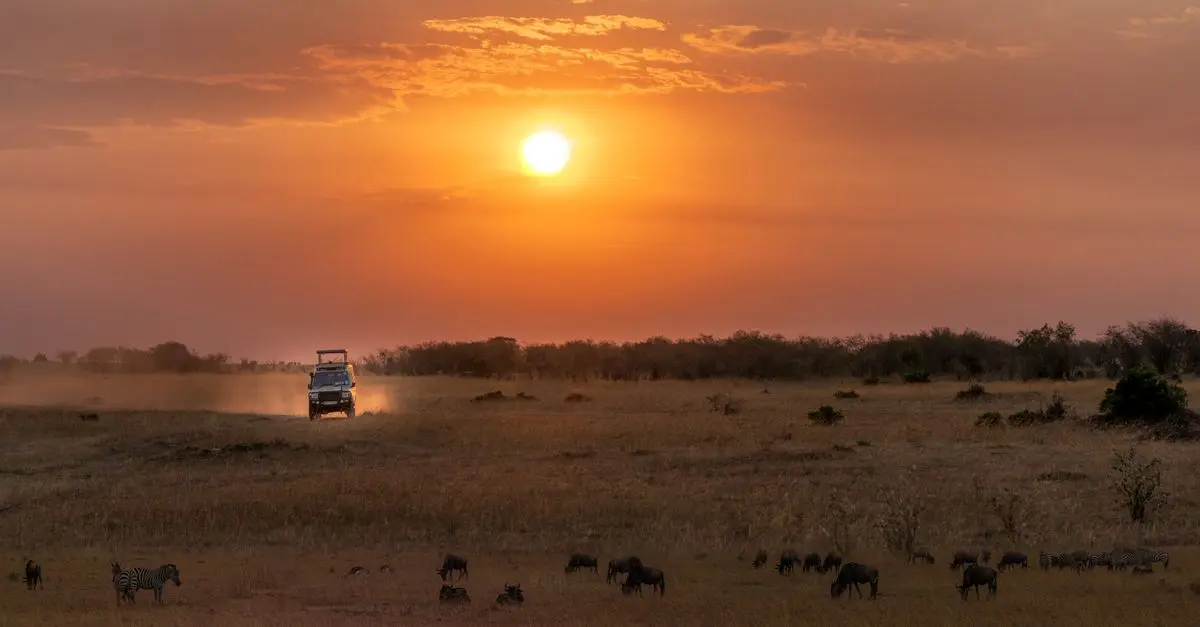 Guide complet pour voyager en toute sécurité en Afrique
