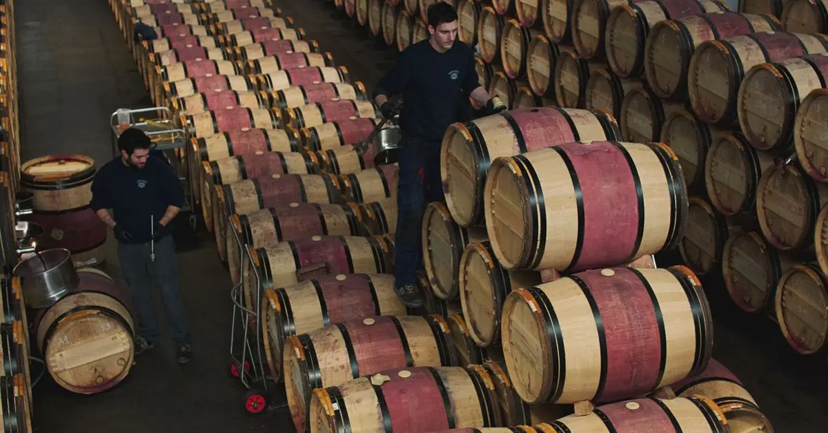 Découverte des fermes vinicoles en France