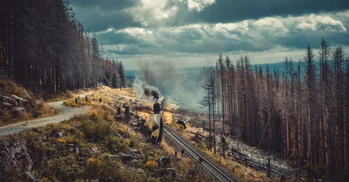 Comparatif des moyens de transport Canada vs Australie
