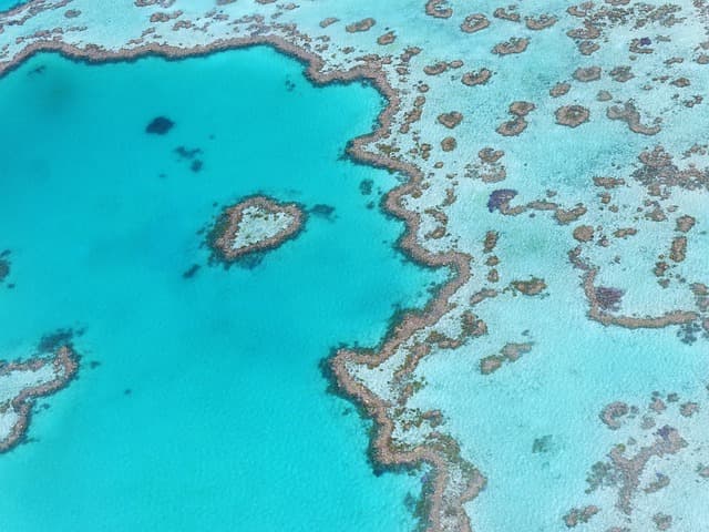 Les incontournables à savoir avant de visiter l'Australie
